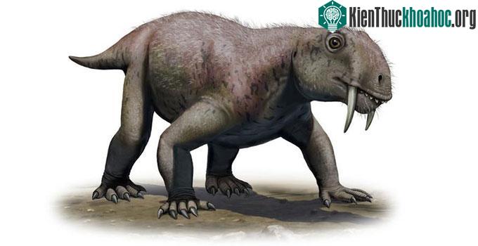 Đồ họa mô phỏng loài thú răng kiếm ăn thực vật Tiarajudens eccentricus.
