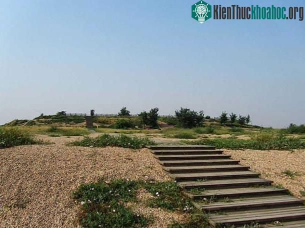 Phần di tích còn sót lại của Cung Vị Ương