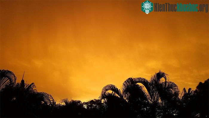 Khung cảnh hoàng hôn tuyệt đẹp tại thành phố biển Miami “nhờ” đám mây cát bụi Godzilla. (Ảnh: Twitter).