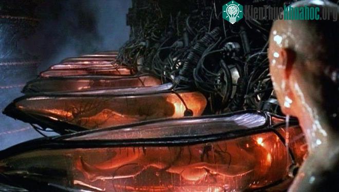 Con người trở thành pin cho máy móc trong loạt The Matrix