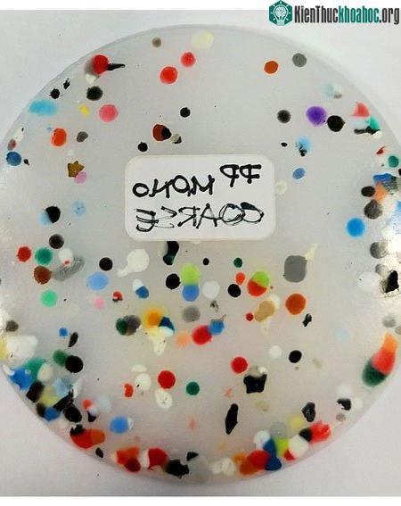 Có nhiều vật liệu xây dựng có thể được tạo ra từ nhựa tiêu dùng trộn lẫn với nhiều loại vật liệu rắn.