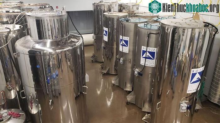 Bên trong cơ sở đông lạnh cơ thể người chờ ngày hồi sinh lớn nhất thế giới ảnh 4
