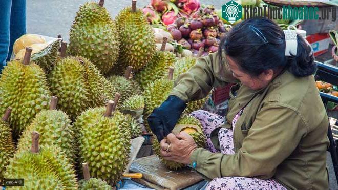 Những trái sầu riêng nặng mùi có thể trở thành nguyên liệu cho một loại siêu tụ điện.