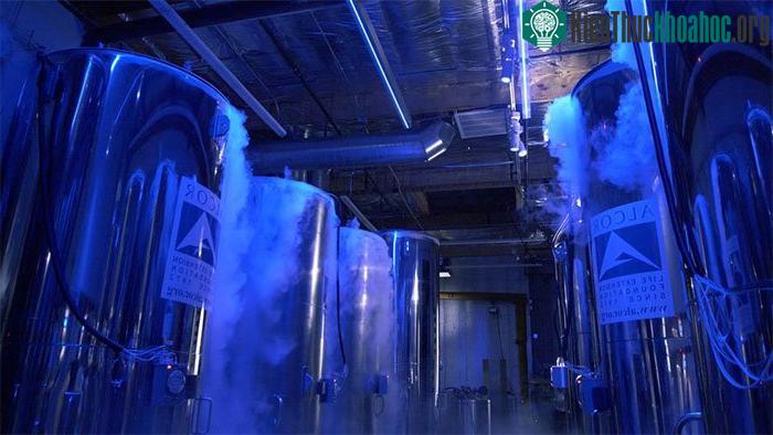 Chi phí để đóng băng toàn bộ cơ thể người, chờ ngày hồi sinh là 220.000 USD.