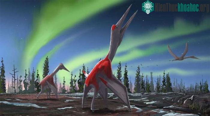 Cryodrakon là một chi của Azhdarchid Pterizard sống trong thời kỳ cuối kỷ Phấn trắng ở Canada ngày nay.