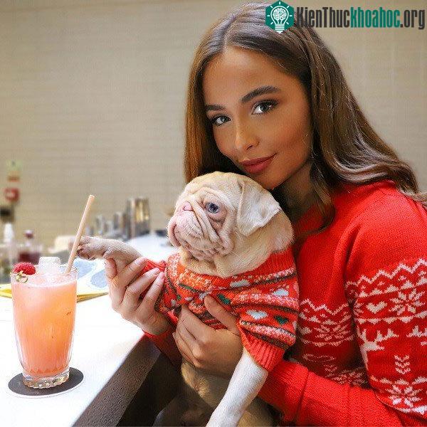 Chú chó có bộ lông màu hồng bẩm sinh hiếm hoi trên thế giới ảnh 6