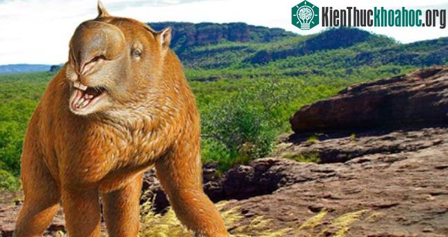 Đi tìm chỗ "giải quyết nỗi buồn", người đàn ông phát hiện di tích lịch sử 49.000 năm tuổi theo cách không ai ngờ ảnh 6