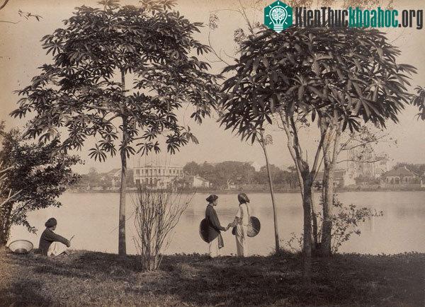 Khung cảnh bình yên bên bờ hồ Hoàn Kiếm