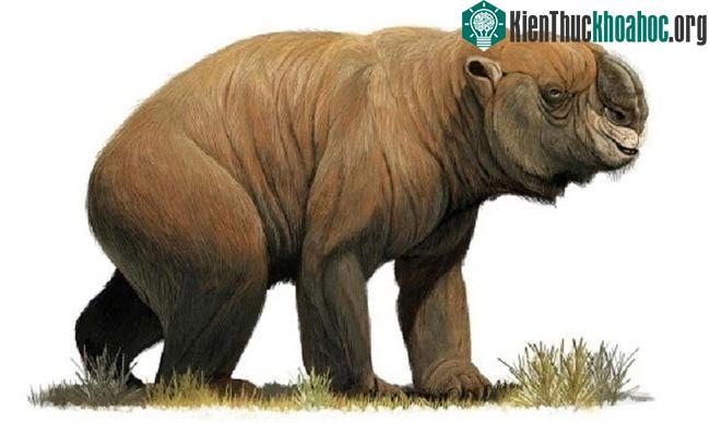 Đi tìm chỗ "giải quyết nỗi buồn", người đàn ông phát hiện di tích lịch sử 49.000 năm tuổi theo cách không ai ngờ ảnh 7