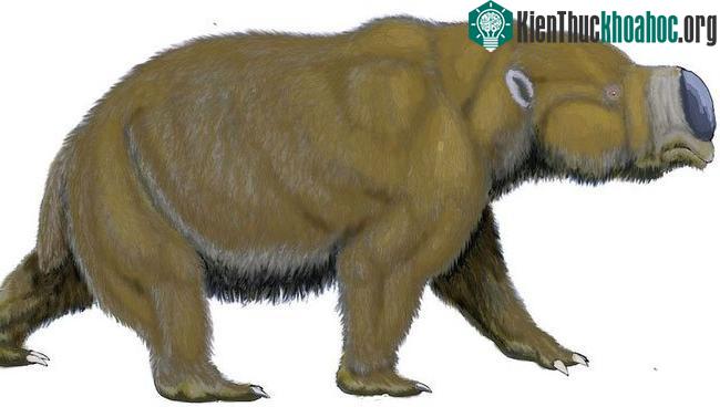 Đi tìm chỗ "giải quyết nỗi buồn", người đàn ông phát hiện di tích lịch sử 49.000 năm tuổi theo cách không ai ngờ ảnh 8