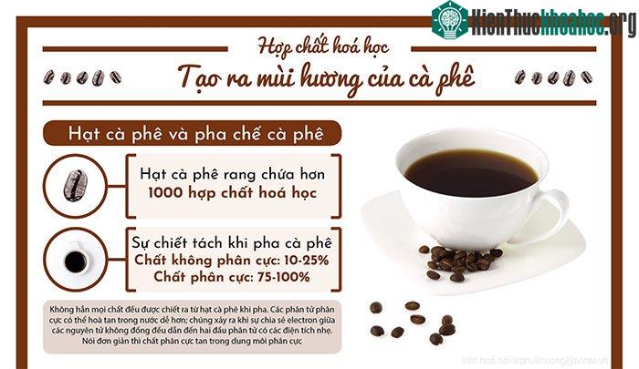 Mùi của cà phê từ đâu mà có? ảnh 0