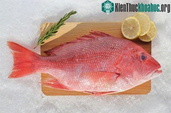 Ngộ độc Ciguatera bắt đầu từ 2 giờ đến 30 giờ sau khi ăn phải cá độc.