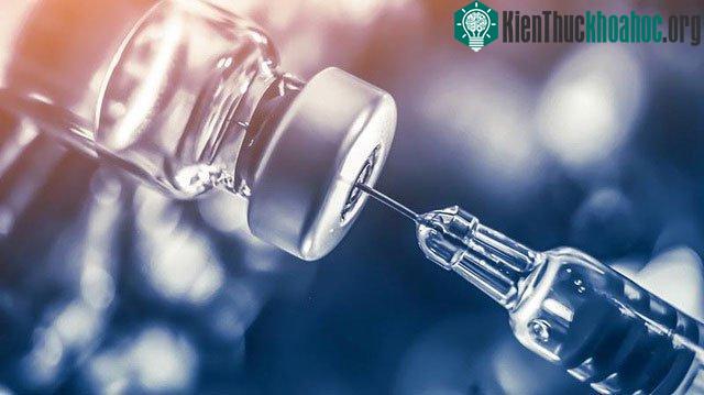 Virus có một chìa khóa mở được khóa cửa của tế bào.
