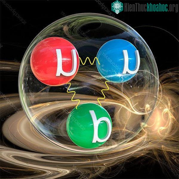 Quark là một loại hạt cơ bản sơ cấp và là một thành phần cơ bản của vật chất.