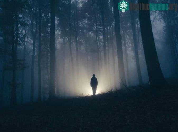 Sau màn sương là một thế giới khác?