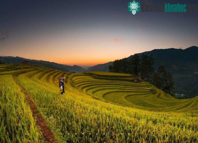 Mù Cang Chải là một trong những địa điểm chụp ảnh dải ngân hà đẹp nhất Việt Nam.