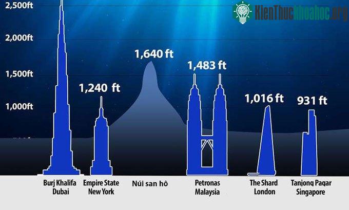 Phát hiện núi san hô cao gấp rưỡi tháp Eiffel ảnh 0