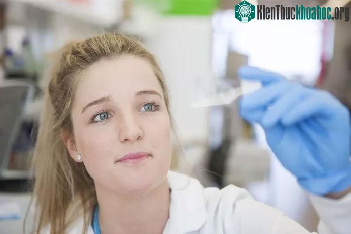 Tiến sĩ Ciara Duffy tại phòng thí nghiệm, nơi thuốc điều trị ung thư được điều chế từ nọc ong mật.
