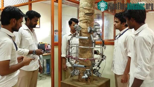 Robot có hình dáng ôm tròn quanh thân dừa