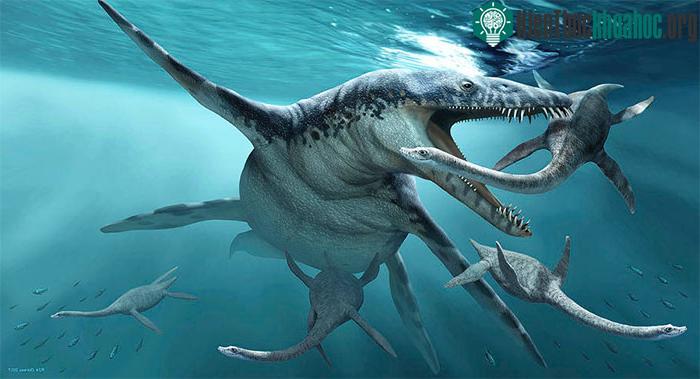 Vua biển cả Liopleurodon.