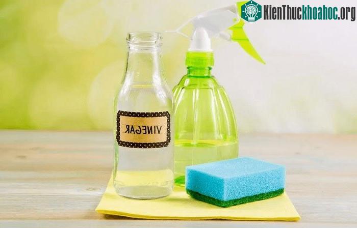 Sử dụng giấm để đuổi chuột