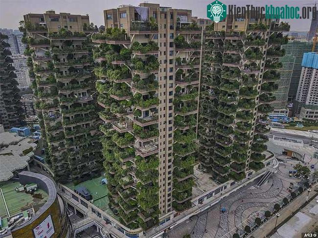 Ban công của mỗi căn hộ được thiết kế để cung cấp không gian cho cây cối phát triển.