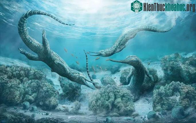 Đại dương kỷ Tam Điệp đầy những "quái thú" ngày nay không còn tồn tại