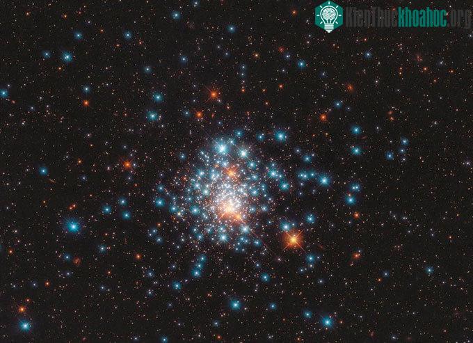 Ảnh chụp cụm sao cầu NGC 1805 của kính Hubble.