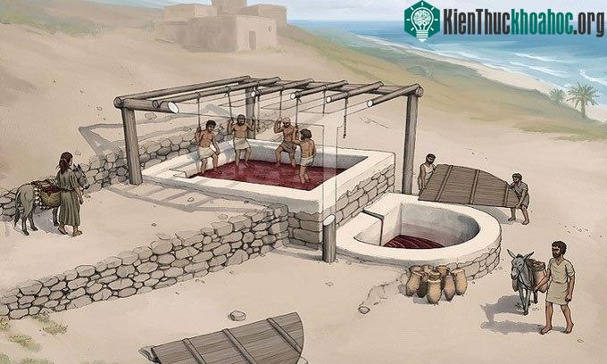 Khai quật được nhà máy rượu nho 2.600 năm tuổi ảnh 0