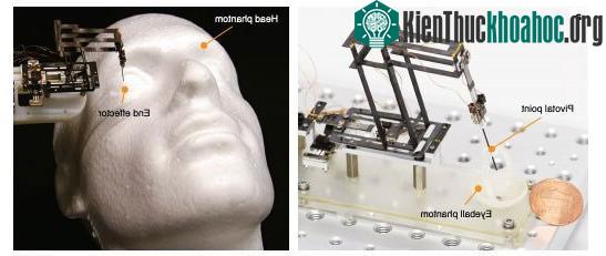Robot mini-RCM