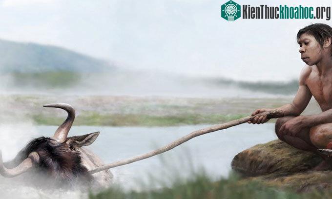 Tổ tiên của người hiện đại có thể đun thức ăn dưới suối nước nóng.