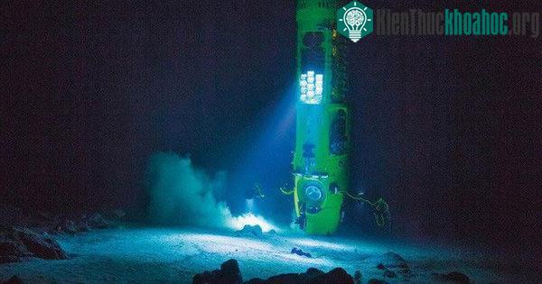 Cảnh tượng dưới đáy của rãnh Mariana.