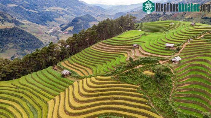Những thửa ruộng bậc thang đầy sắc màu những ngày giữa tháng 9.