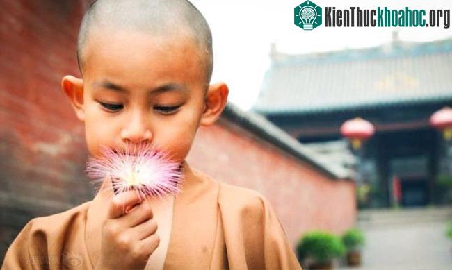 Đừng từ chối bất kỳ công việc gì. Cứ làm thôi và bạn sẽ được công nhận.
