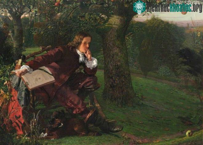 Cây táo của Newton có vị trí đặc biệt trong lịch sử khoa học.