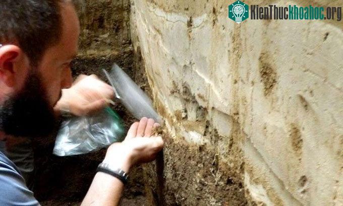 Dario Pedrazzi lấy mẫu vật ở một rìa đất gần Tazumal.
