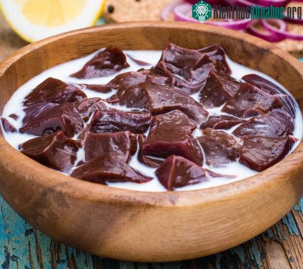 Gan động vật