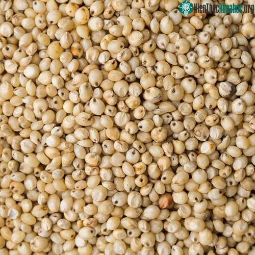 Ăn cơm độn bo bo là ký ức không bao giờ mờ phai của nhiều người Việt thời bao cấp