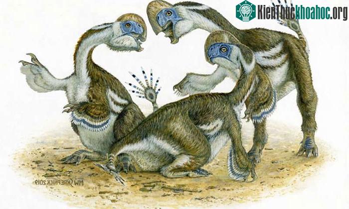 Oksoko avarsan có 2 ngón tay và chiếc mỏ giống loài vẹt hiện nay.