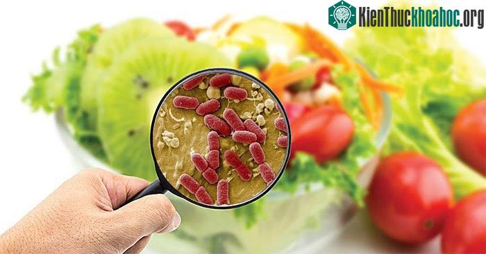 Ngộ độc thực phẩm do vi khuẩn pseudomonas cocotoxin gây ra chưa có thuốc giải