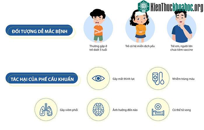 Vi khuẩn phế cầu nguy hiểm thế nào? ảnh 1