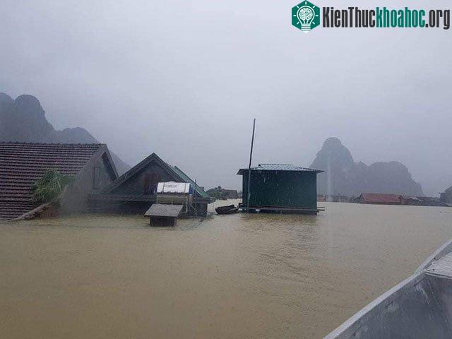 Một lần nữa, những căn nhà phao trong dự án Nhà Chống Lũ phát huy tác dụng tại Quảng Bình ảnh 1