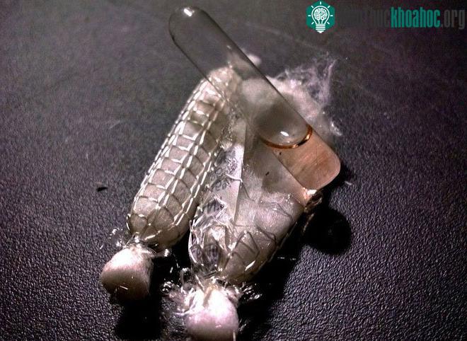 Muối ngửi được tạo ra từ hỗn hợp Amoni cacbonat (NH4)2CO3 và một vài chất khác.