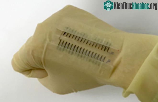 Thiết bị thử nghiệm việc tạo ra điện thông qua nhiệt tỏa ra từ cơ thể.