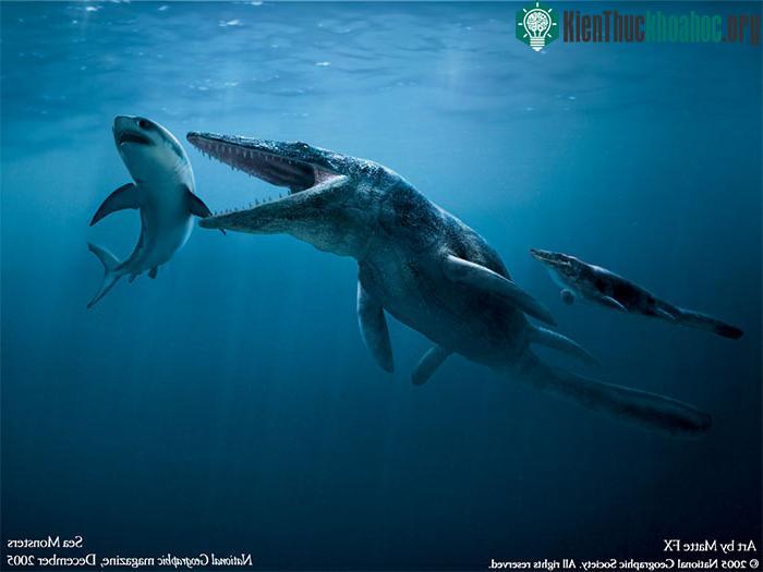 Phác họa hình ảnh bò sát cổ đại Liopleurodon.