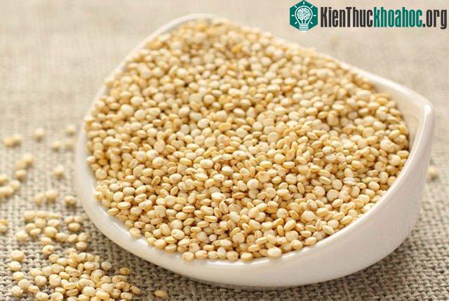 Quinoa (hạt diêm mạch)