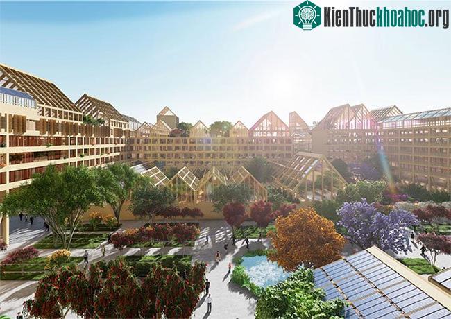 Xung quanh các khu nhà ở là hệ thống nhà kính tiện nghi cho việc trồng cây lương thực, hoa màu.