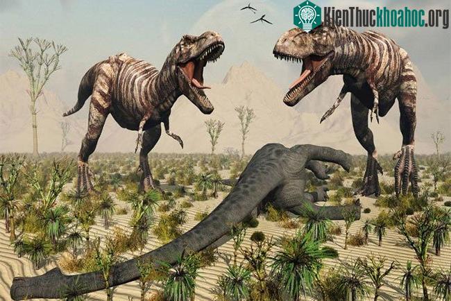 Hình ảnh phục dựng cảnh 2 con T-rex đang đi săn.