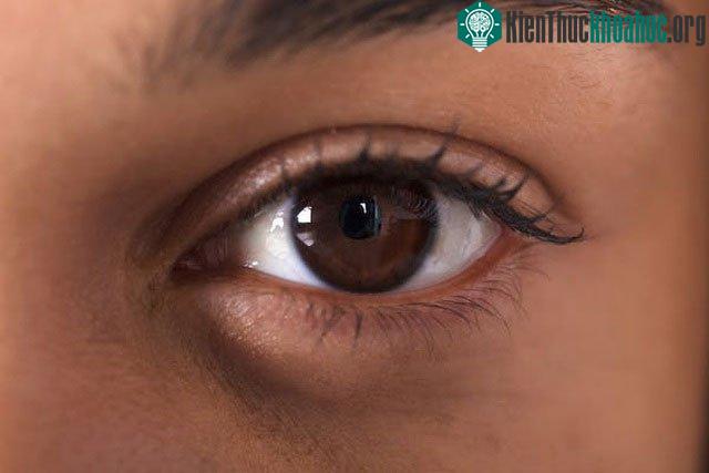 Hàng tỷ tế bào trong cơ thể tạo nên mỗi con người chúng ta.