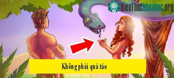 Những thông tin sai lầm nhiều người tưởng là khoa học ảnh 1
